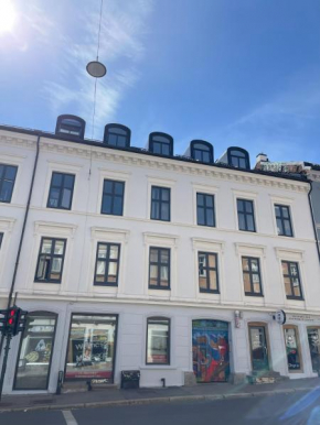 6 soverom i moderne leilighet sentralt i Oslo sentrum
